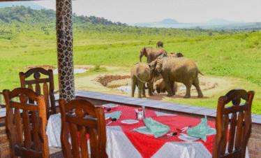Ngulia Safari Lodge – 3 Days, 2 Nights