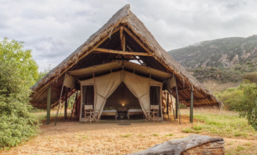 Voyager Ziwani Safari Camp – 3 Days, 2 Nights